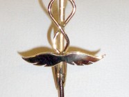 Spillone in oro